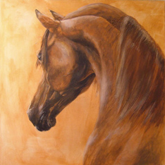 Horse Shampoo & Conditioner