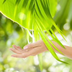 Emu Oil Hand & Body Lotion